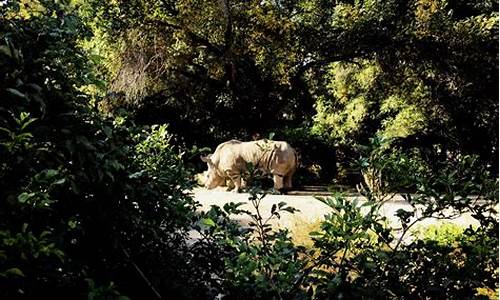 动植物公园地址_动植物公园属于哪个区