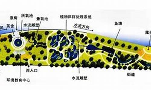 活水公园的水净化系统_活水公园简介