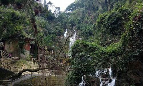 鼎湖山旅游攻略一日游最佳路线,鼎湖山风景区旅游攻略