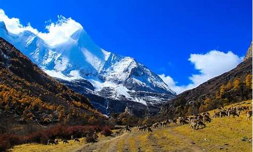 五月份稻城亚丁穿什么衣服_四川稻城亚丁旅游攻略五月份穿什么