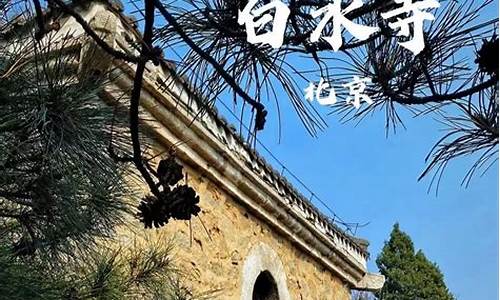 白水寺森林公园旅游攻略_白水寺森林公园开放了吗