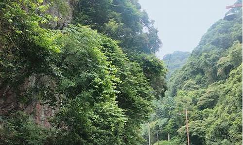 青云山景区,青云山旅游攻略自由行