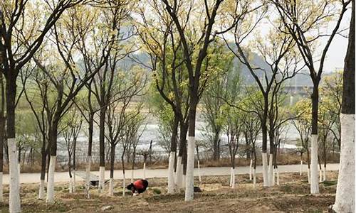 永定河公园停车场_永定河公园停车场免费吗