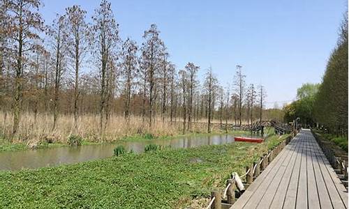 青浦郊野公园民宿,上海青郊野公园攻略