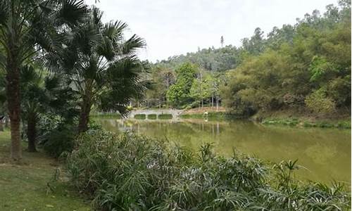 龙岗龙城公园在哪_龙岗区龙城公园管理处电话