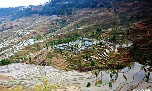 红河景点风景好的地方有哪些_红河景点风景好的地方有哪些呢