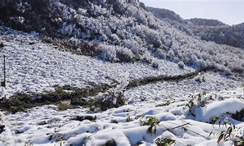 重庆到金佛山路线怎么走的呀多少钱一公里,重庆到金佛山路线怎么