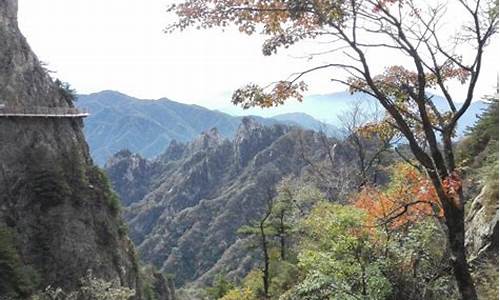 神农架旅游景点攻略一日游_神农架旅游指南