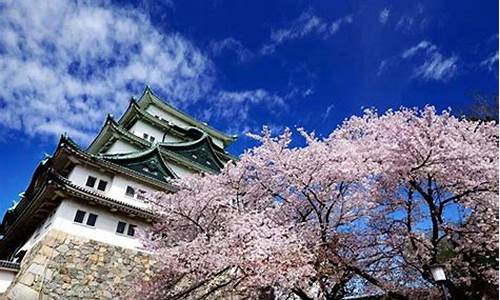 日本著名旅游景点排名,日本十大旅游景点排名