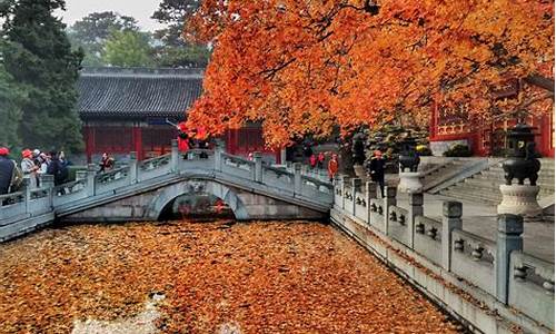 北京香山公园一日游_北京香山公园一日游多少钱