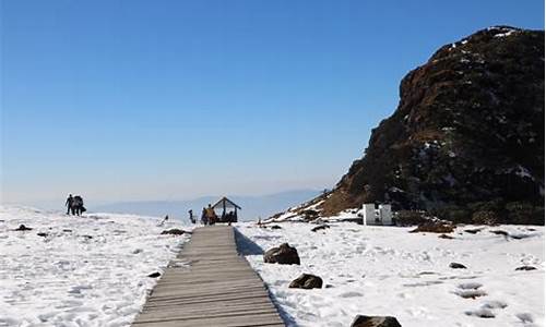 轿子雪山一日游6点出发,轿子雪山自驾游攻略