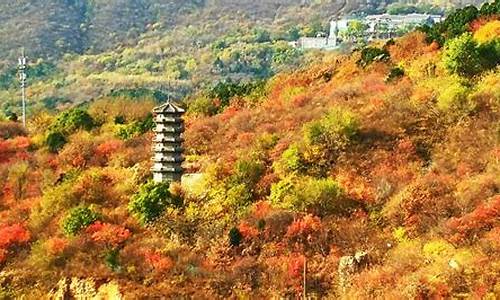 北京西山公园在哪,北京西山公园在哪儿