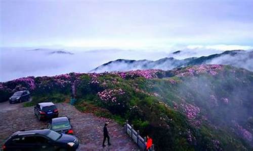 永州市双牌县的阳明山风光秀丽,双牌阳明山攻略详解