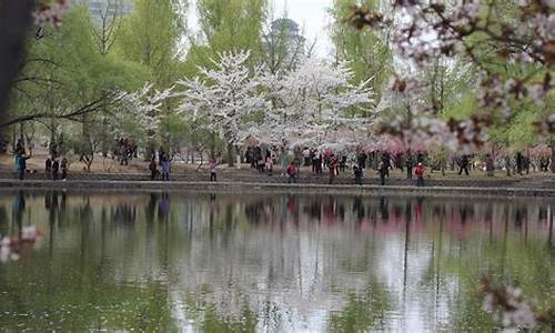 北京3月份旅游,三月份北京旅游攻略