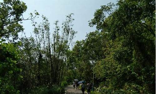 珠海石花新村,珠海石花山公园有几个入口