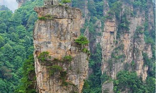 张家界旅游攻略带孩子自由行_张家界旅游攻略带孩子自由行的地方