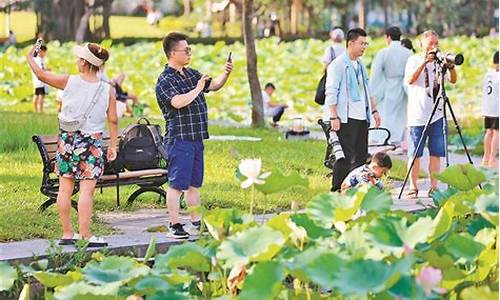 深圳洪湖公园荷花节开放时间_深圳洪湖公园荷花节