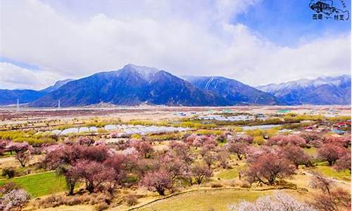 林芝旅游攻略景点必去知乎大全_林芝旅游攻略自由行