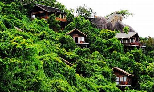 三亚森林公园住宿_三亚森林公园住宿哪里便宜