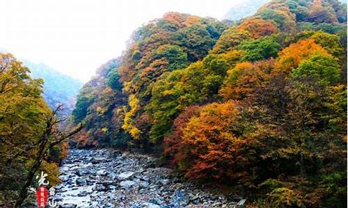 巴中光雾山旅游攻略特产,巴中光雾山景点门票多少钱