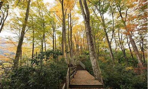 光雾山旅游攻略自驾游路线最新,光雾山风景区景点介绍