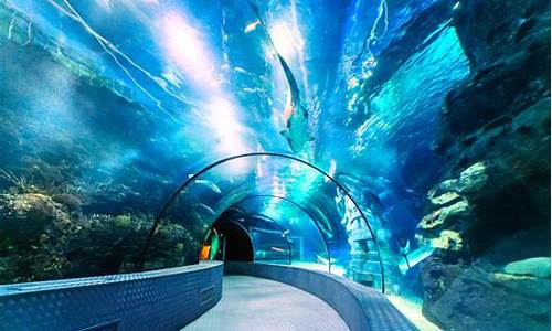 长风公园海洋世界和上海水族馆哪个好玩,长风公园海洋世界和上海
