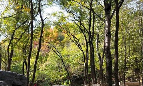 北京森林公园门票_北京景山公园门票价格