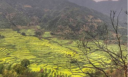 江西婺源旅游攻略景点必去_江西婺源旅游攻略景点必去的地方