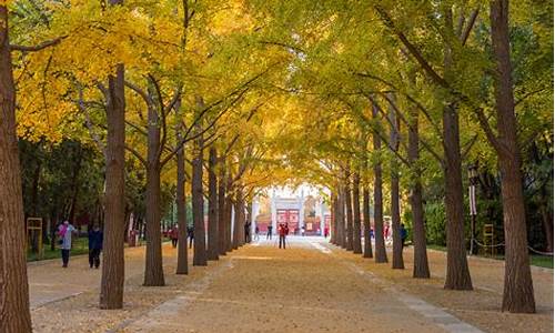 北京地坛公园在哪_北京地坛公园景点