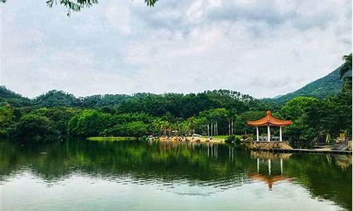 深圳仙湖植物园攻略一日游路线_深圳仙湖植物园门票是多少