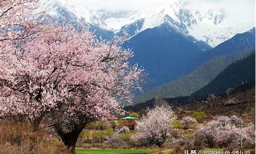 林芝各景点海拔,林芝景点海拔高度多少米