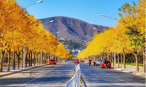 秋季旅游最佳地,秋季旅游攻略