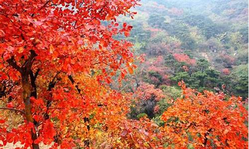 北京香山公园在哪-北京香山公园游玩攻略