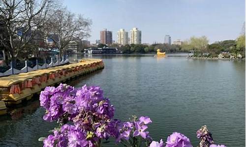 上海长风公园介绍,上海长风公园门票