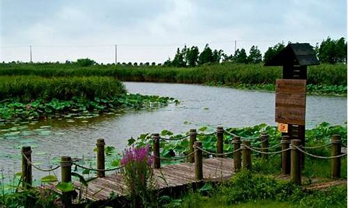 上海湿地公园排行榜_上海湿地公园排行