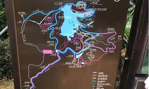 仙湖植物园攻略一日游2023年最新_仙湖